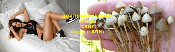сатива Кодинск