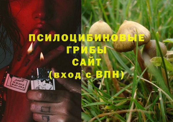 кокс Корсаков