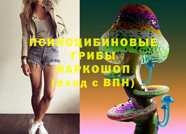 кокс Корсаков