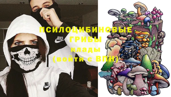 кокс Корсаков